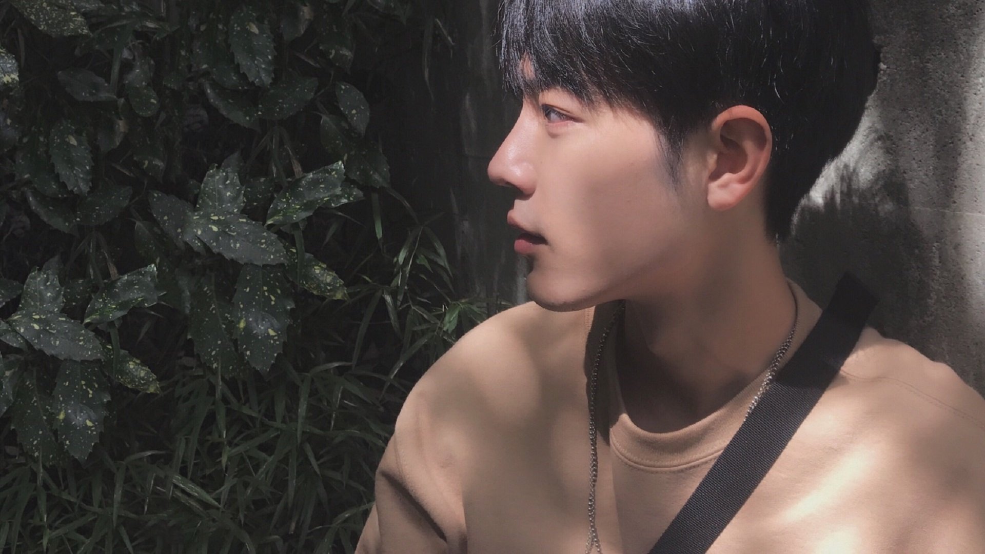 开云官网-仰泳小将刷新德国国内纪录，世界仰泳顶尖运动员