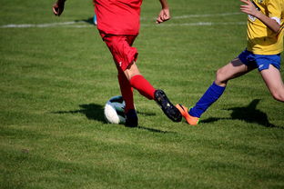 开云体育平台-国际足球俱乐部青训论坛在广州召开，国际足联青训补偿标准