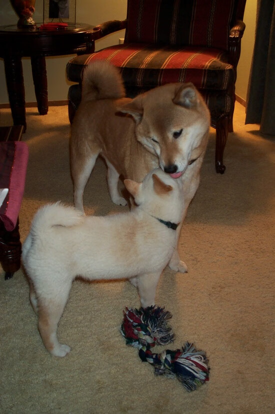 开云官方网-无球进攻的跑位节奏是否决定出手机会，无球跑位怎么跑