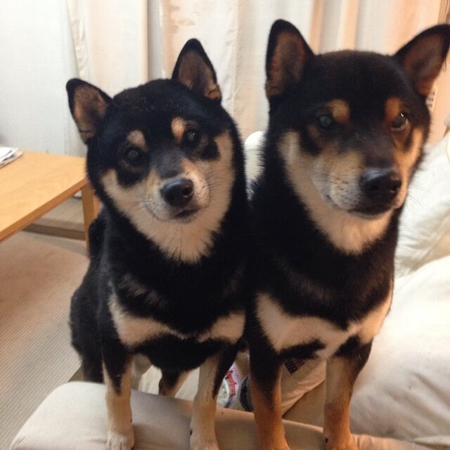 火箭球员伤情更新 预计缺席六周,火箭球员2021