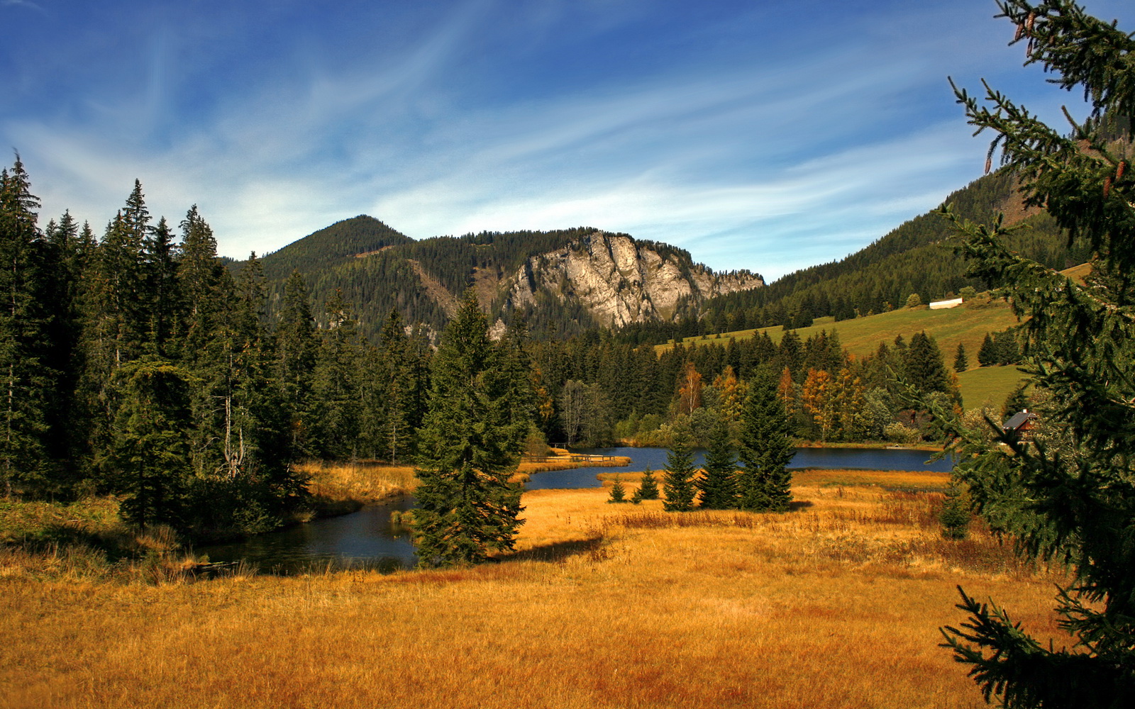 2026世界杯场馆“智造”,融合绿色科技与智能设施成为行业典范