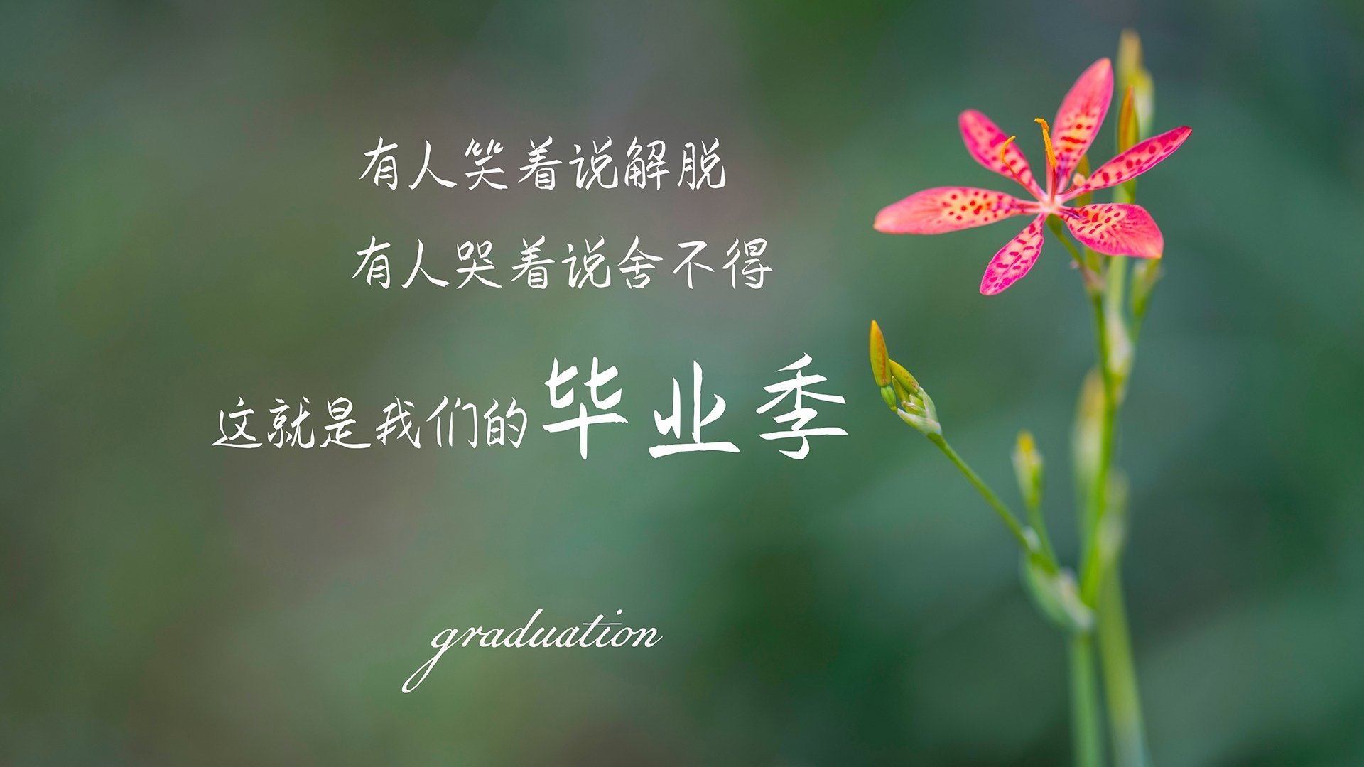 开云app-丁俊晖接受媒体访问表达新赛季目标，丁俊晖接受媒体访问表达新赛季目标了吗