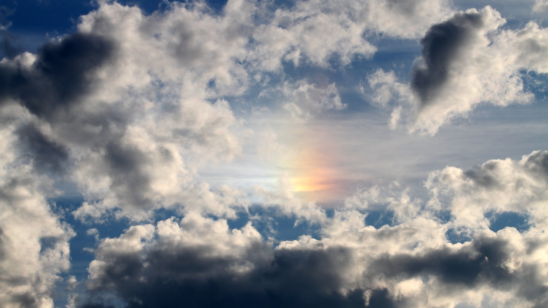 中国足球职业俱乐部成立青少年足球基金会,中国足协青少年部