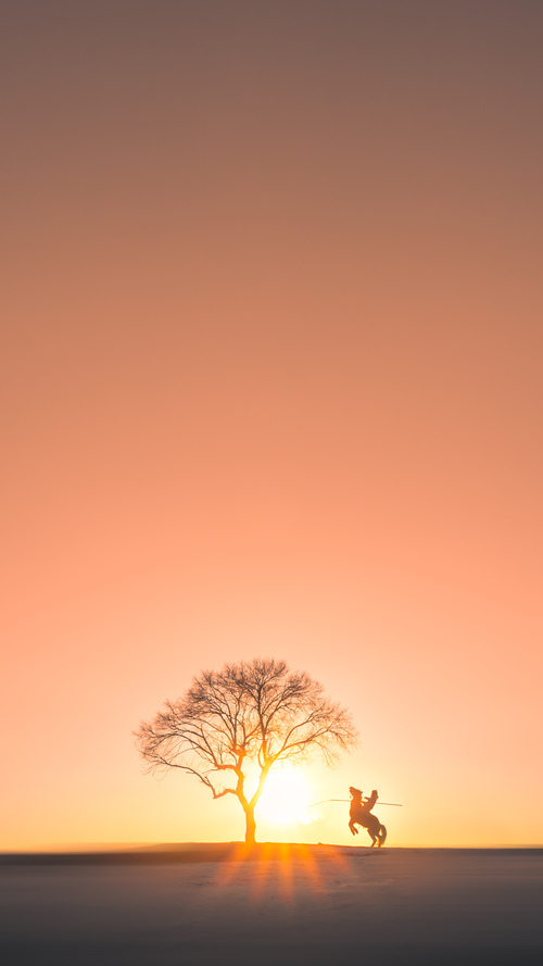 凯尔特人举行球队传统日回顾队史荣耀时刻，凯尔特人队史第5期