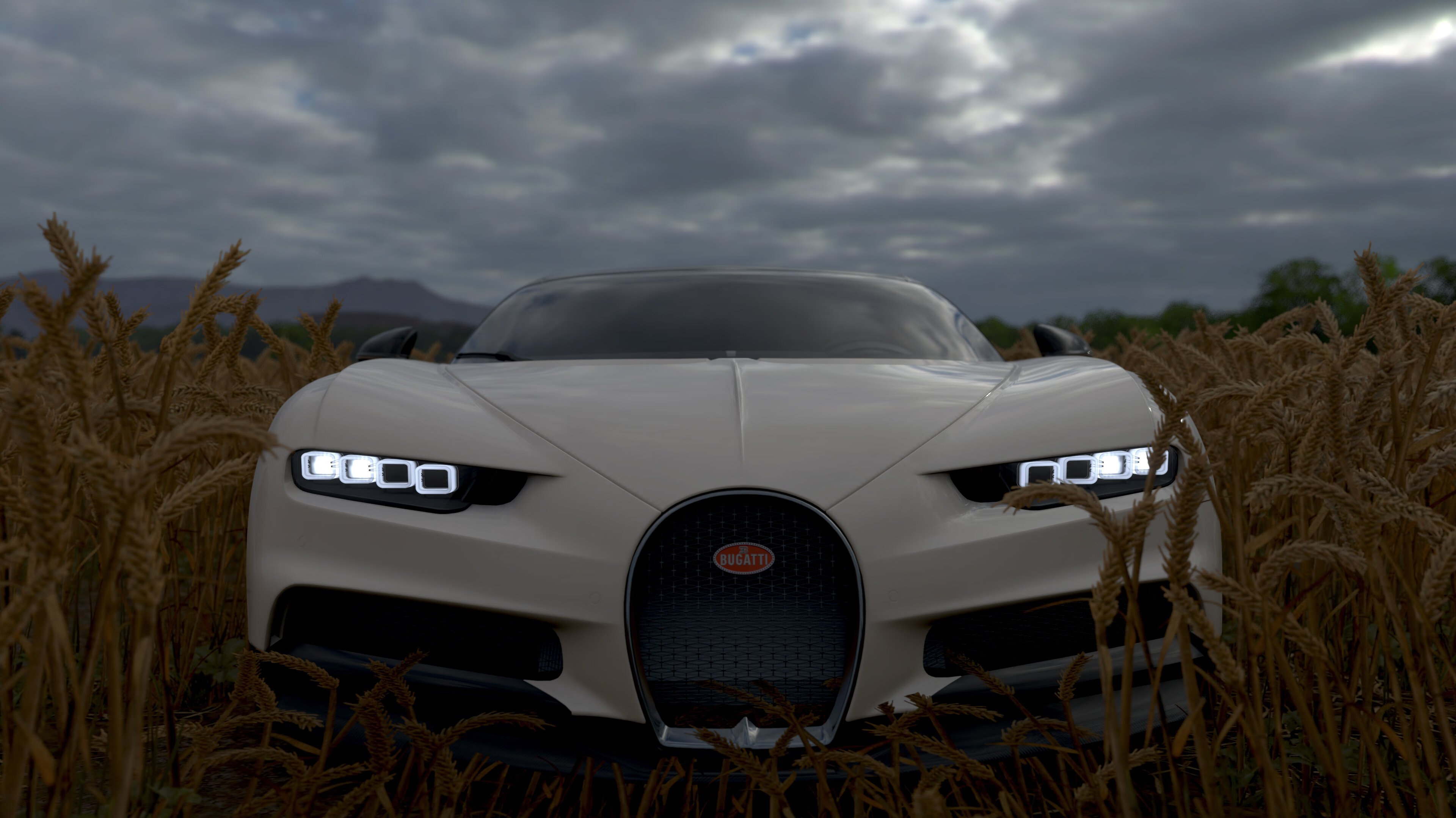 南非青训系统逐步完善,全球橄榄球选手新摇篮,南非橄榄球队员