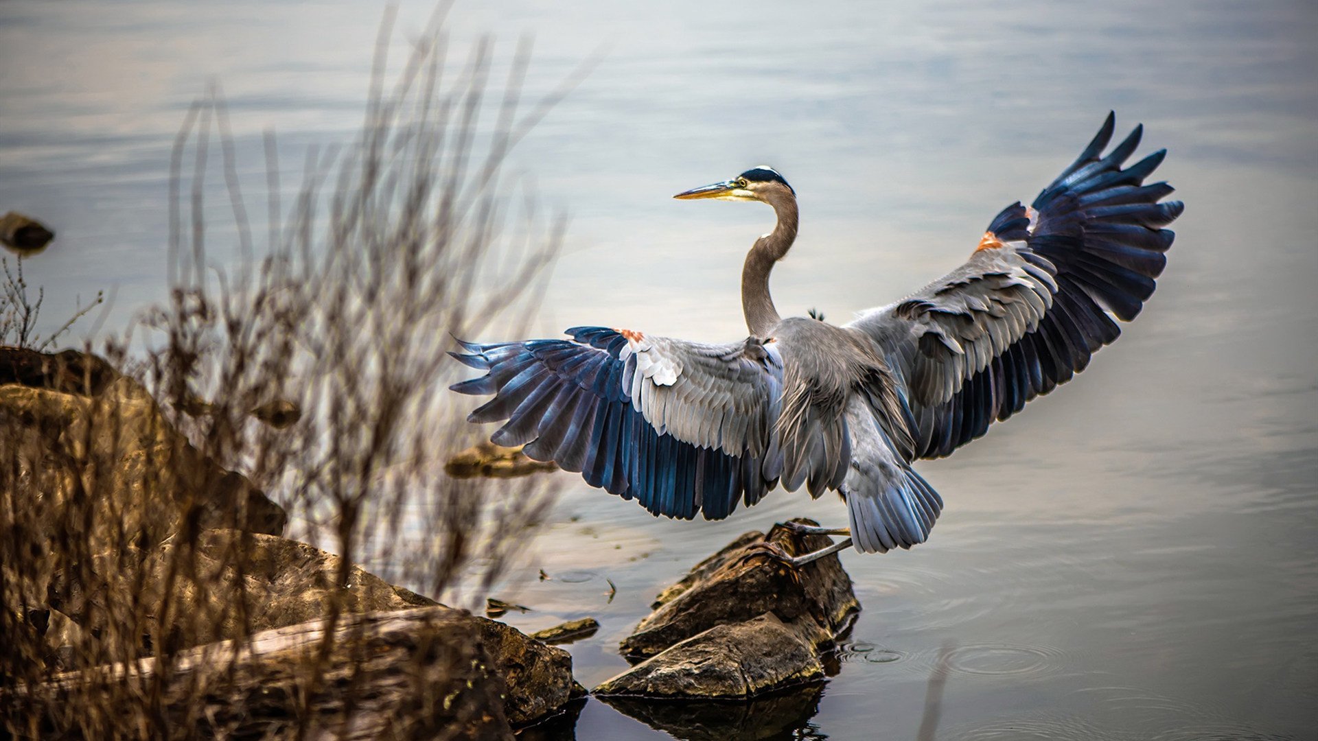 kaiyun网址-朱婷亮相校园被学生热情包围，朱婷上学