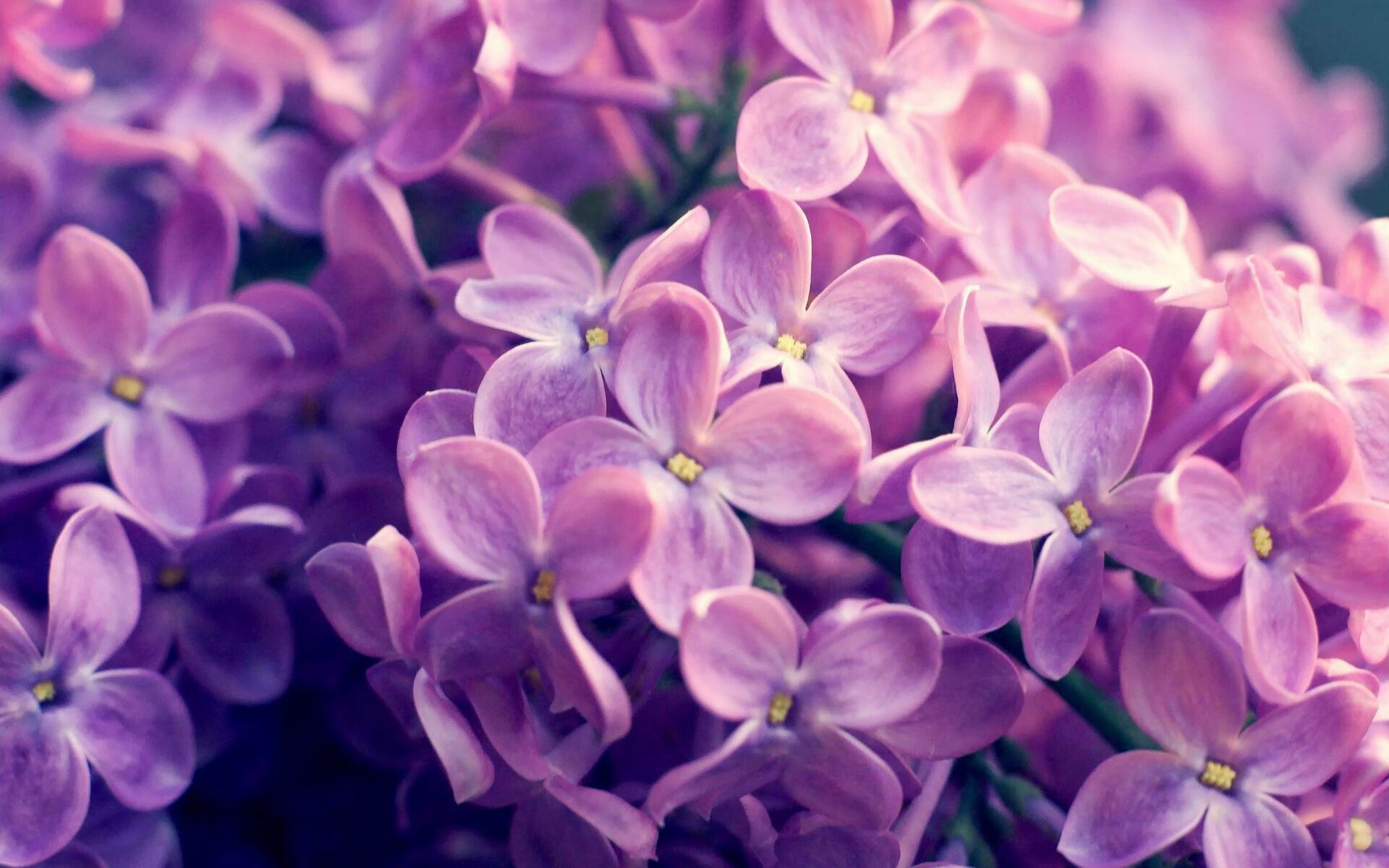 开云体育下载-李恩：在比赛中不断突破对方防线，为全黑队制造无限威胁，搜索李恩