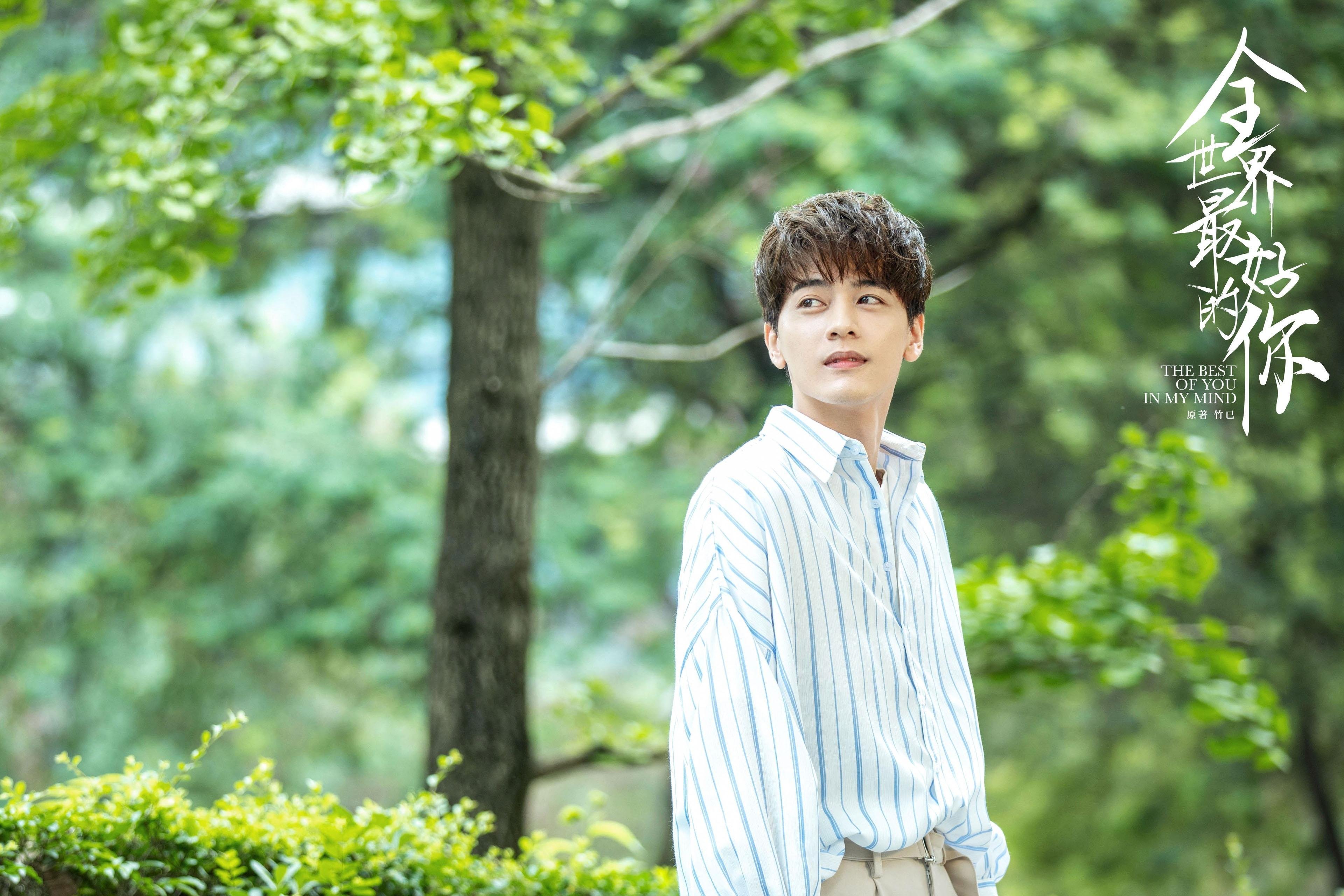 波波维奇泳姿流畅动作细腻获赞,波波维奇游泳运动员