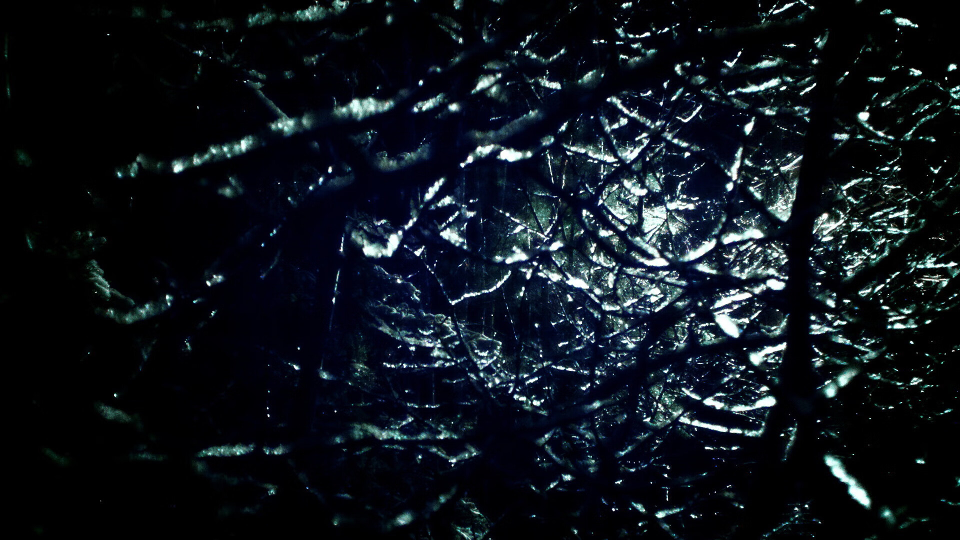 苏炳添训练中展示惊人反应速度,苏炳添训练时候的视频