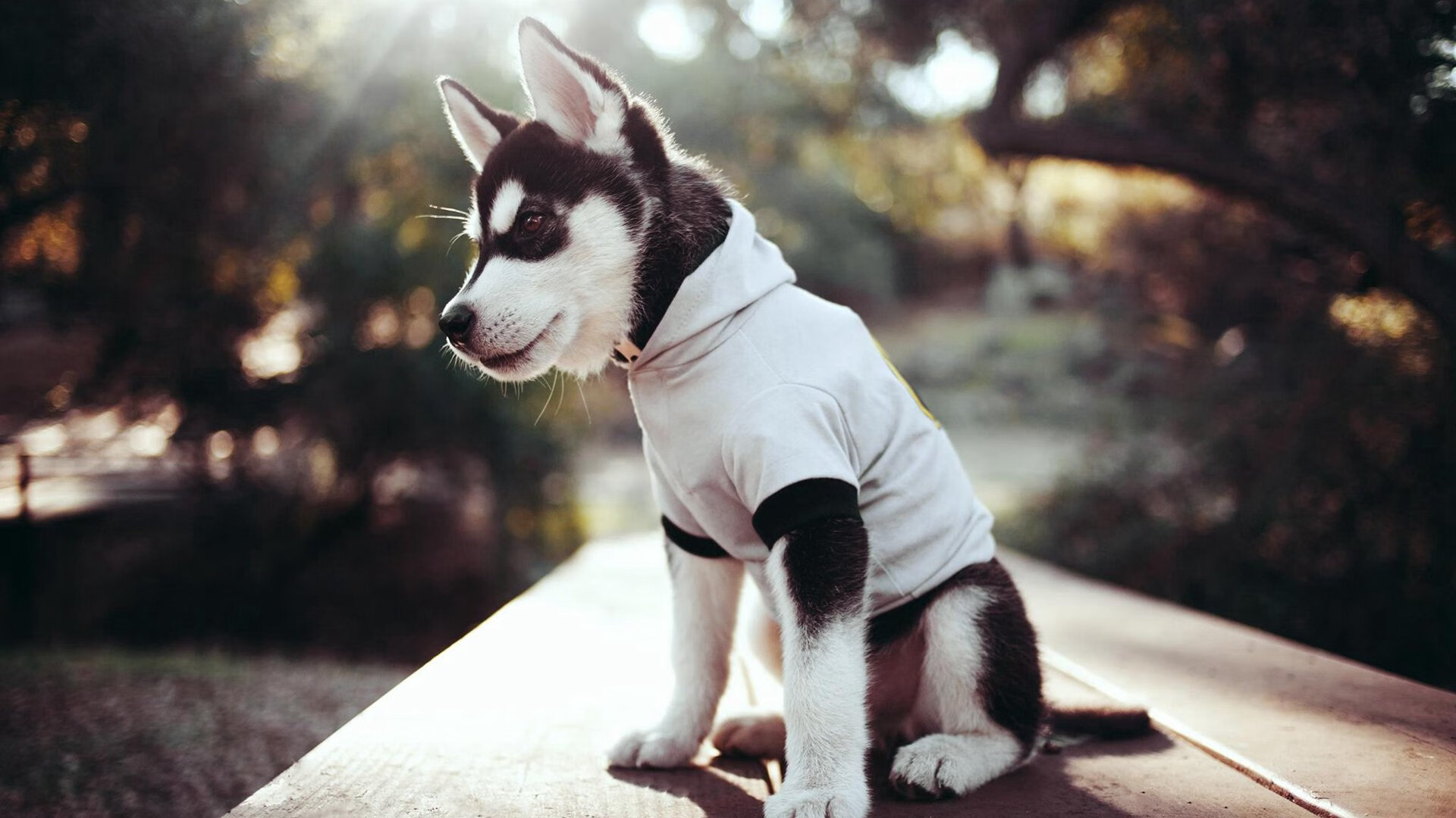 开云体育app-韩国蝶泳项目稳定提升，韩国美女蝶泳欣赏